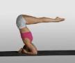 Ashtanga Yoga Halb Kopfstand